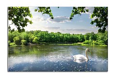 Obraz na stenu ZS - bez pomeru strán